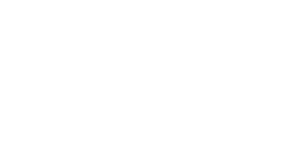 Logo Allyans Footer